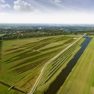Illustration for article titled How This Simple Landscaping Project Quiets an Airport's Roar